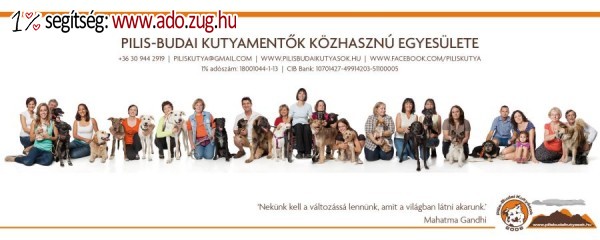 Pilis-Budai Kutyamentők Közhasznú Egyesülete