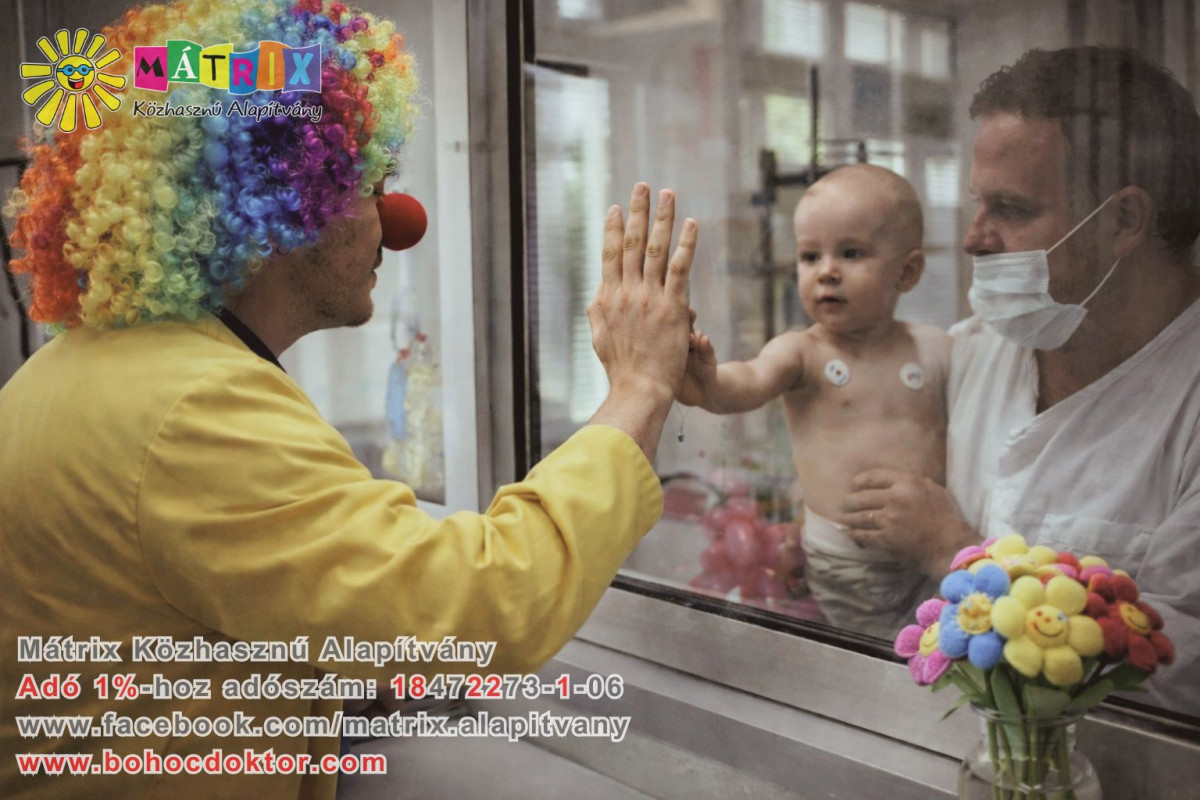 Cikkek / Ajánlja fel adója 1+1 százalékát 2026-ban!