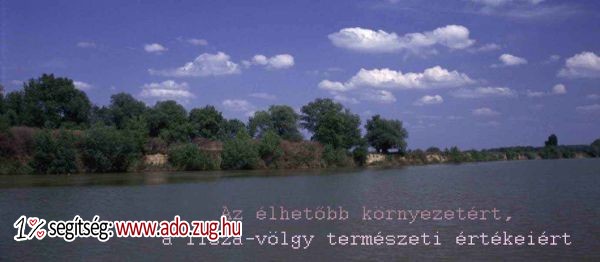 Tiszatáj Környezet- és Természetvédelmi Közalapítvány