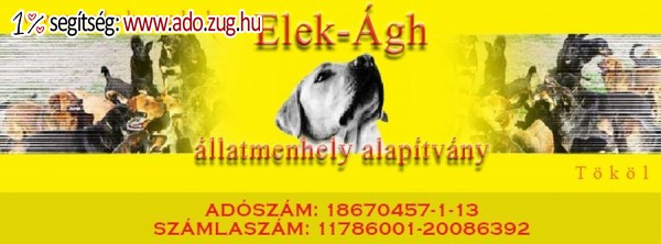 Elek-Ágh Állatmenhely Alapítvány