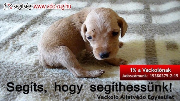 Vackoló Közhasznú Állatvédő Egyesület